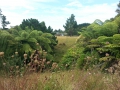 CameraZOOM-20140206100827076