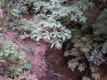 CameraZOOM-20140206101104662