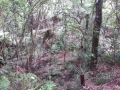 CameraZOOM-20140206101319723