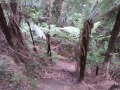 CameraZOOM-20140206101339896