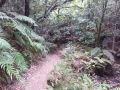 CameraZOOM-20140206101637565