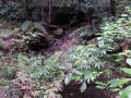 CameraZOOM-20140206101642735