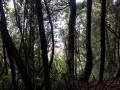 CameraZOOM-20140206110418616