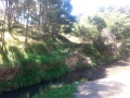 CameraZOOM-20140202123229817