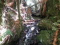 CameraZOOM-20140202132604642